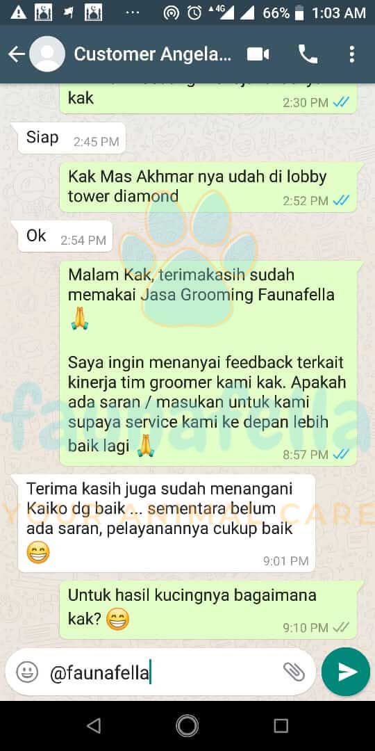 Screenshot testimoni pelanggan FaunaFella 9