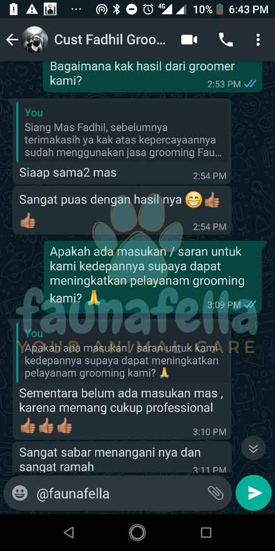 Screenshot testimoni pelanggan FaunaFella 5