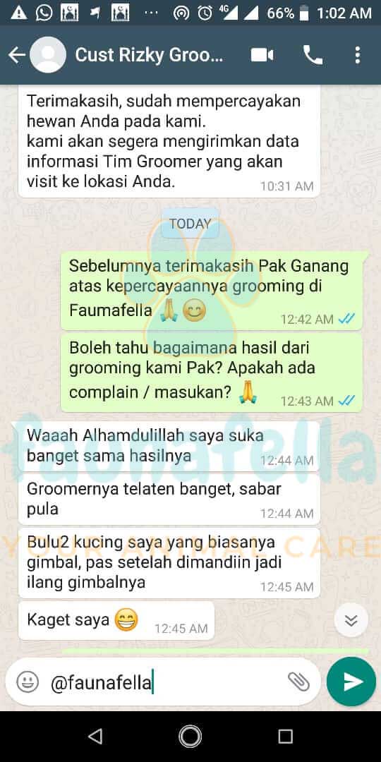 Screenshot testimoni pelanggan FaunaFella 7