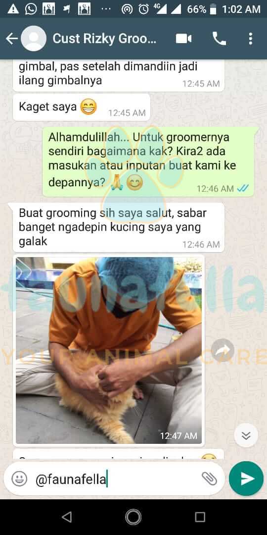 Screenshot testimoni pelanggan FaunaFella 1