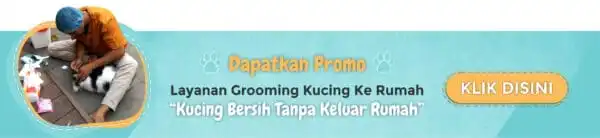 Harga Grooming Kucing Jogja, Pelayanan Bersih & Memuaskan