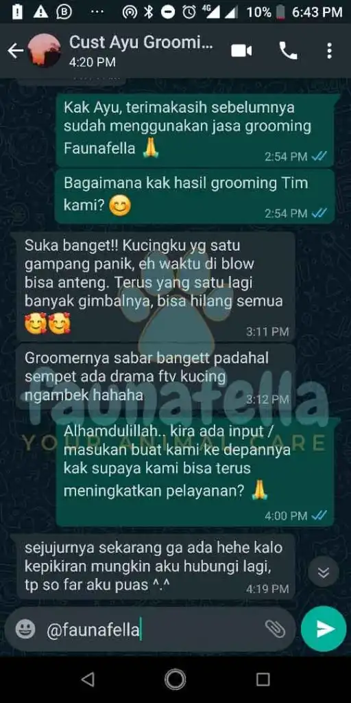 Jasa Grooming Kucing Panggilan Terdekat Ke Rumah Anda