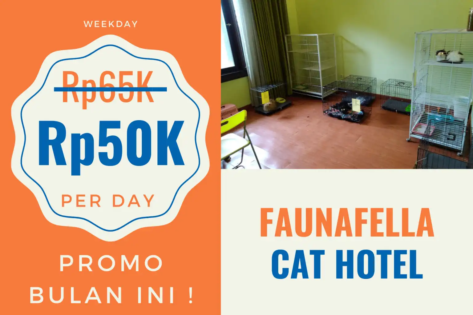 Jasa Tempat Penitipan Kucing Murah | Faunafella Cat Hotel