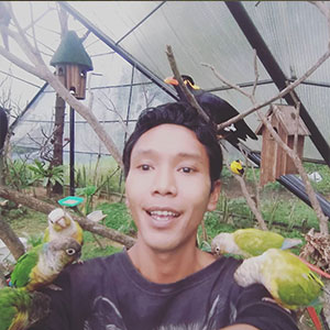 First Parrot Indonesia