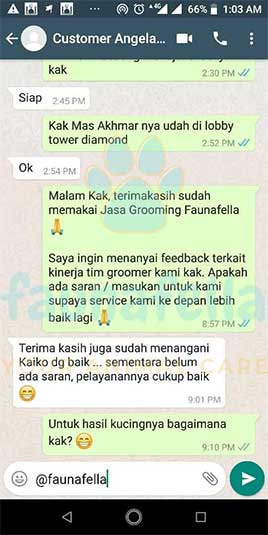 Testimoni 1