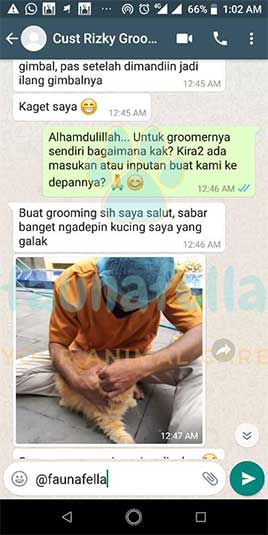 testimoni 3
