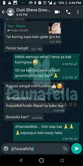 Testimoni 5
