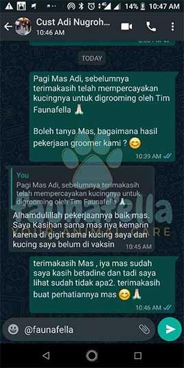 Testimoni 7