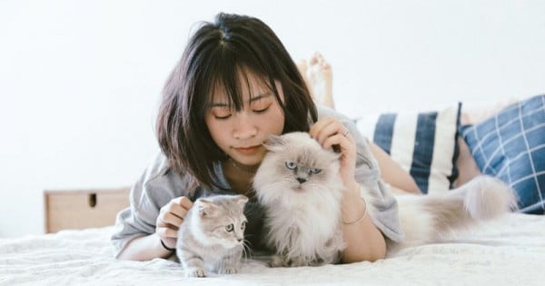 8 Alasan Memelihara Kucing Bagi Lingkungan Rumah dan Manusia