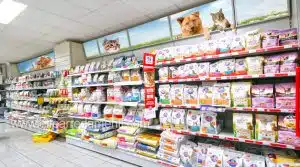 15 Toko Peralatan Kucing Terdekat di Jakarta, Bandung, Bali dan Surabaya