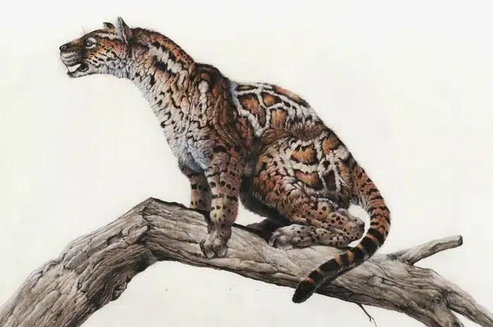 Jenis Kucing Pertama di Dunia Beserta Asal Usul Sejarahnya 2023