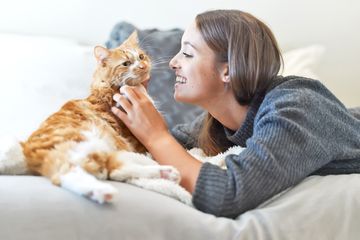10 Manfaat Memelihara Kucing Dirumah Bagi Lingkungan dan Manusia 2023