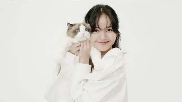 Potret Kucing Lisa Blackpink Leo, Lily, Luca, Louis dan Lego Paling Imut dan Sangat Menggemaskan 2023