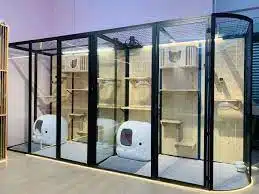 Tempat Penitipan Kucing Cakung Jakarta Timur, Fasilitas, Syarat, Harga Biaya dan Cara Memilih Paling Tepat 2024