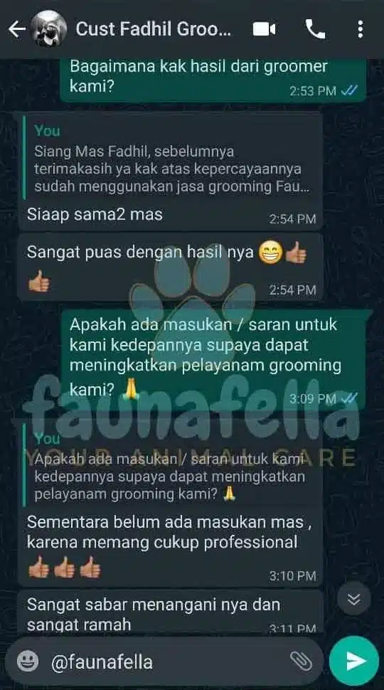 WhatsApp Image 2024-08-20 at 13.59.47 (1)