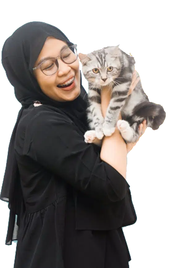 Jasa Grooming Kucing Bandung Murah