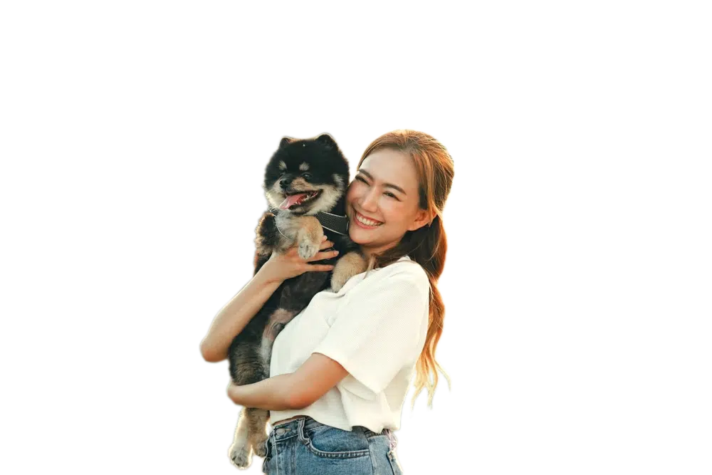 jasa-grooming-anjing-surabaya Jasa Grooming Anjing Surabaya
