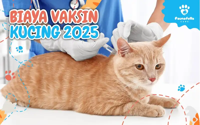 Biaya Vaksin Kucing 2025