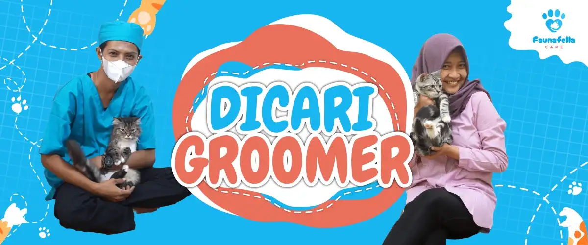Dicari Lowongan Groomer