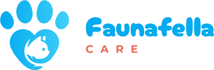 Pet Shop Indonesia - Fauna Fella
