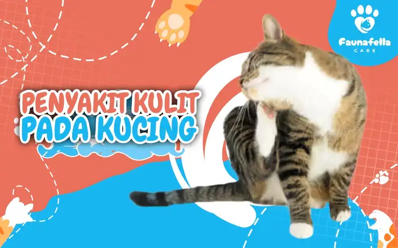 Penyakit Kulit Pada Kucing