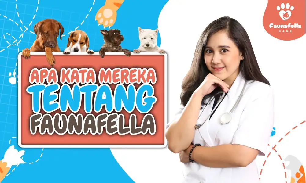 Testimoni Grooming Faunafella