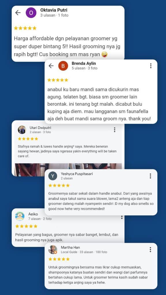 Google Review Grooming Kucing Faunafella