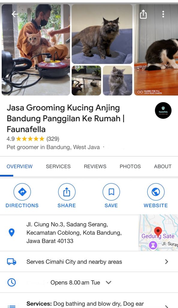 Review Grooming Kucing Bandung Faunafella Care