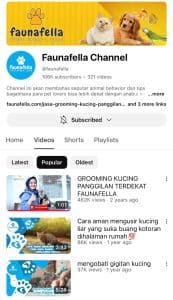 Youtube Faunafella