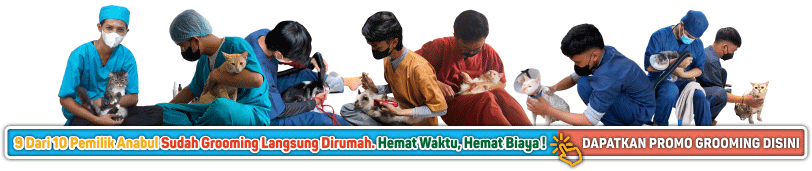 Grooming Kucing Anjing Faunafella Care