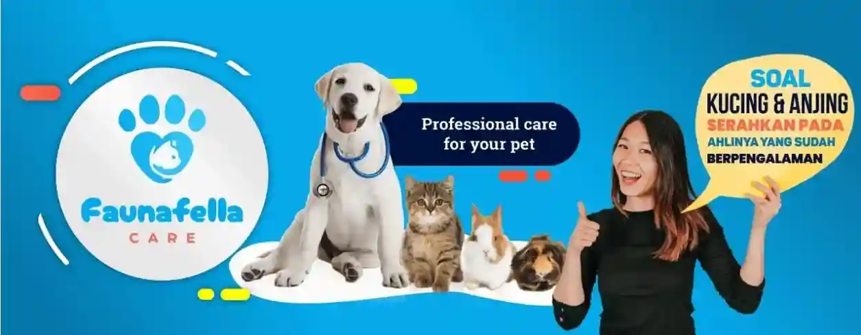 Pet Shop Indonesia - Pet Grooming Indonesia - Pet Shop Grooming Indonesia - Pet Shop - Pet Shop Grooming Kucing - Pet Shop Grooming Anjing